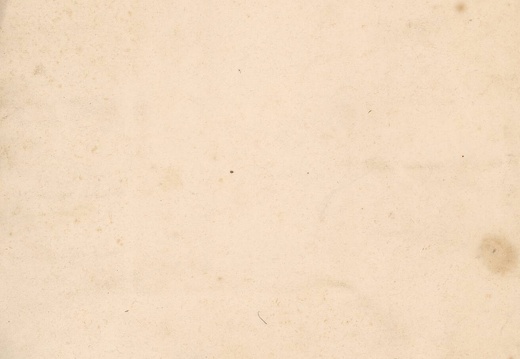 VIDES GRENIERS - BROCANTES